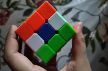 Photo Puzzle Pieces (Solution)