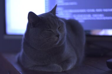 Photo Remote Developer